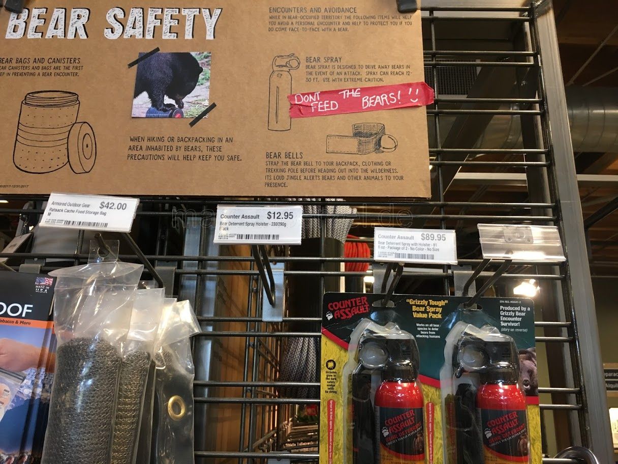being prepared: bear safety